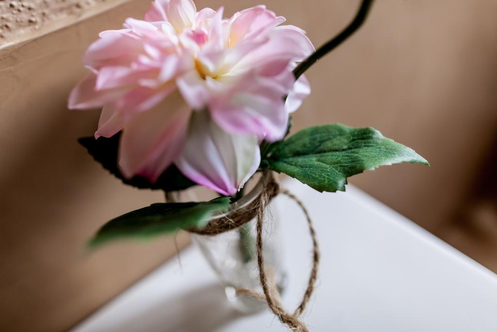 Estanca La Pau - Adults Only Guest House Malla Ngoại thất bức ảnh